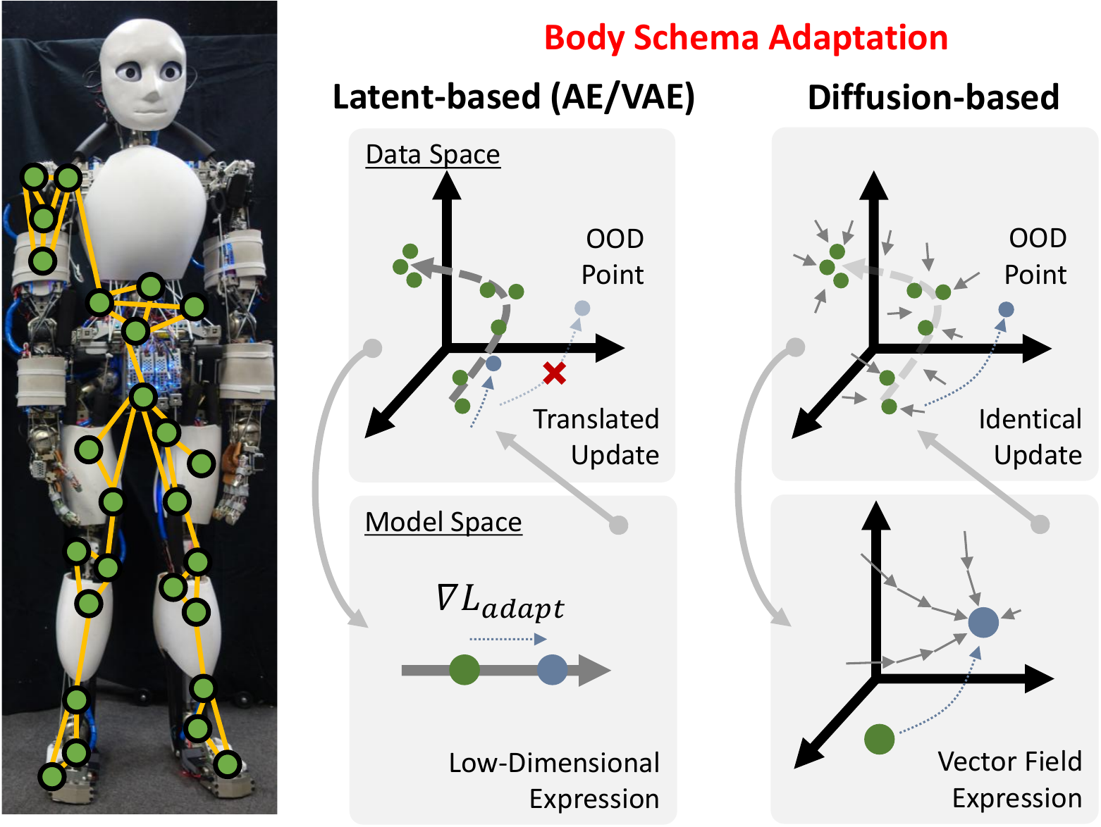 Conceptual comparison of latent-based and diffusion-based body schema adaptation