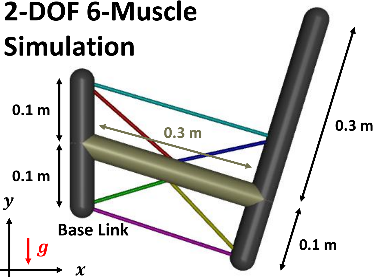 Two-joint six-muscle musculoskeletal simulation model